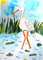 Majerčák Michal.jpg